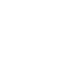 Borrowing.